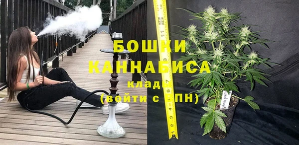 прущие грибы Баксан