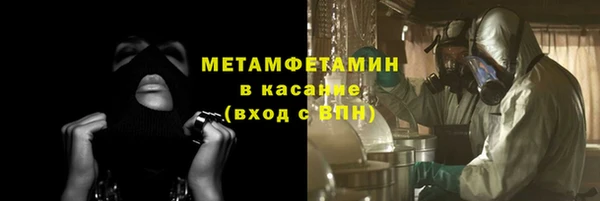 прущие грибы Баксан