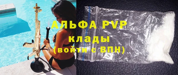прущие грибы Баксан