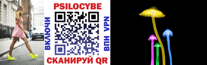 Купить где  Серов  Псилоцибиновые грибы Cubensis 