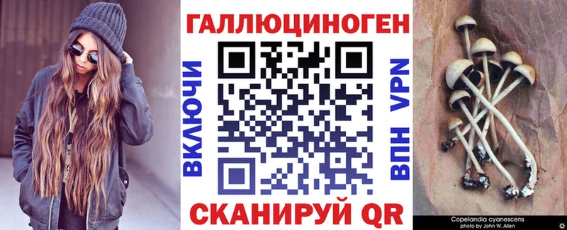 Галлюциногенные грибы Cubensis Серов